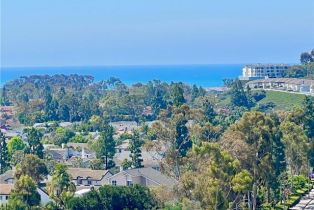 Single Family Residence, 33042 Palo Alto st, Dana Point, CA 92629 - 9