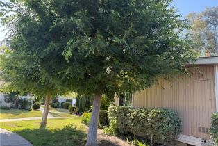 Condominium, 25779 Via Lomas, Laguna Hills, CA 92653 - 33