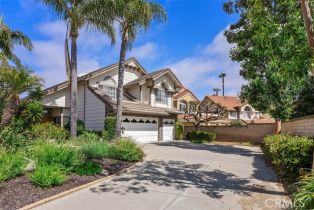 Single Family Residence, 29206 Alfieri st, Laguna Niguel, CA 92677 - 4