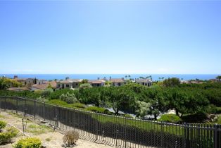 Single Family Residence, 10 Dunes Bluff, Newport Coast, CA 92657 - 43