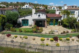 Single Family Residence, 10 Dunes Bluff, Newport Coast, CA 92657 - 47
