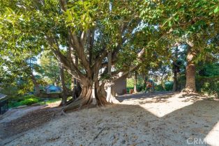 Single Family Residence, 435 Estate dr, Orange, CA 92869 - 16