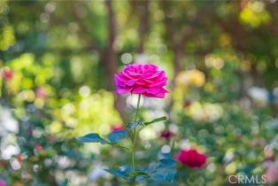 Single Family Residence, 435 Estate dr, Orange, CA 92869 - 17