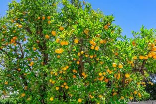 Single Family Residence, 9612 Christine cir, Villa Park, CA 92861 - 24