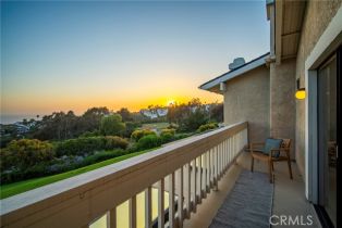 Single Family Residence, 319 Calle Cuervo, San Clemente, CA 92672 - 16