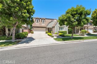 Single Family Residence, 43 Flintridge, Ladera Ranch, CA 92694 - 39