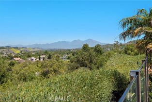 Single Family Residence, 43 Flintridge, Ladera Ranch, CA 92694 - 7