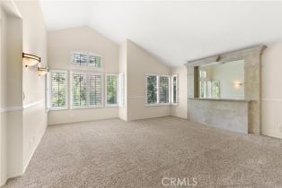 Single Family Residence, 872 South Briar Rose ln, Anaheim Hills, CA 92808 - 37