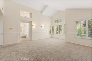 Single Family Residence, 872 South Briar Rose ln, Anaheim Hills, CA 92808 - 39