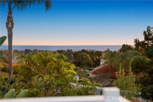 Single Family Residence, 2 Sun Terrace, Laguna Niguel, CA 92677 - 10