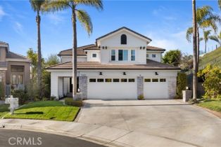Single Family Residence, 2 Sun Terrace, Laguna Niguel, CA 92677 - 47