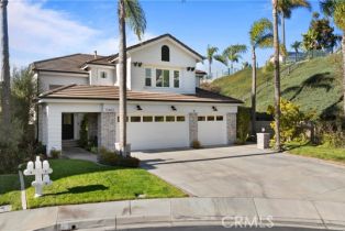 Single Family Residence, 2 Sun Terrace, Laguna Niguel, CA 92677 - 48