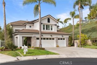 Single Family Residence, 2 Sun Terrace, Laguna Niguel, CA 92677 - 62