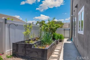 Single Family Residence, 43650 Buckeye rd, Temecula, CA 92592 - 27