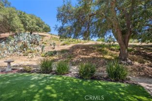 Single Family Residence, 23442 Via Codorniz, Coto De Caza, CA 92679 - 35