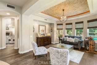Single Family Residence, 31201 Old San Juan rd, San Juan Capistrano, CA 92675 - 10