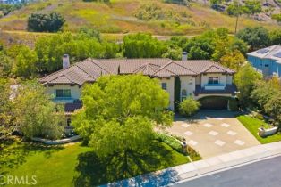 Single Family Residence, 31201 Old San Juan rd, San Juan Capistrano, CA 92675 - 70
