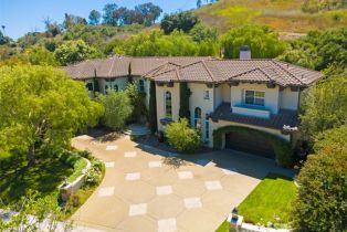 Single Family Residence, 31201 Old San Juan rd, San Juan Capistrano, CA 92675 - 71