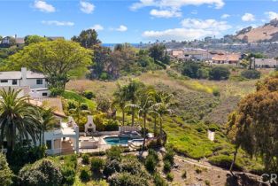 Single Family Residence, 1110 Novilunio, San Clemente, CA 92673 - 3