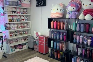 Single Family Residence, 3703 Calle La Quinta, San Clemente, CA 92673 - 39