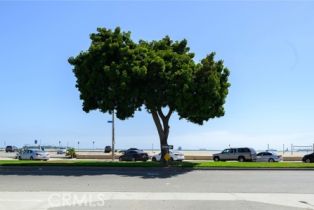 Single Family Residence, 26 Covina ave, Long Beach, CA 90803 - 34