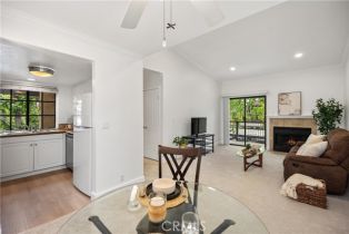 Condominium, 25621 Indian Hill ln, Laguna Hills, CA 92653 - 12