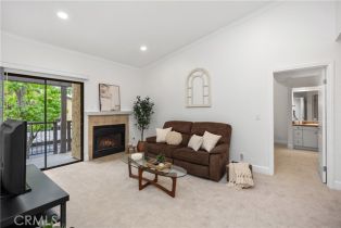 Condominium, 25621 Indian Hill ln, Laguna Hills, CA 92653 - 4