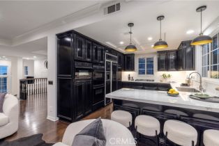 Condominium, 14 Saint Pierre, Newport Coast, CA 92657 - 15