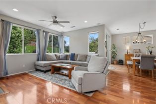 Single Family Residence, 103 Corte Tierra Bella, San Clemente, CA 92673 - 4