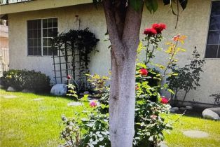 Single Family Residence, 5551 Mason ave, Woodland Hills, CA 91367 - 42