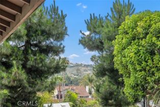 Single Family Residence, 2922 Estancia, San Clemente, CA 92673 - 21