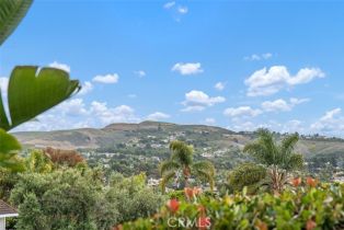 Single Family Residence, 2922 Estancia, San Clemente, CA 92673 - 35