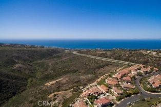 Single Family Residence, 5 Sea View ln, Newport Coast, CA 92657 - 34