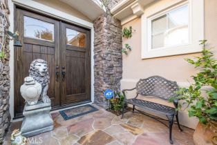 Single Family Residence, 5 Sea View ln, Newport Coast, CA 92657 - 42