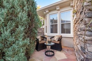 Single Family Residence, 5 Sea View ln, Newport Coast, CA 92657 - 43