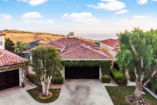 Single Family Residence, 5 Sea View ln, Newport Coast, CA 92657 - 45