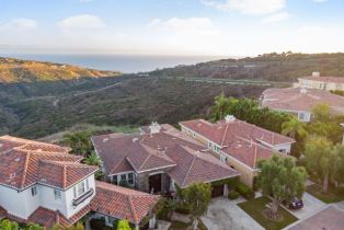 Single Family Residence, 5 Sea View ln, Newport Coast, CA 92657 - 46