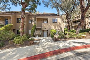 Residential Lease, 31287  E Nine DR, Laguna Niguel, CA  Laguna Niguel, CA 92677