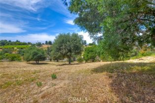 Single Family Residence, 1177 Estee ct, Fallbrook, CA 92028 - 28