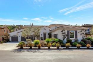 Single Family Residence, 29310 Paseo Palmar, San Juan Capistrano, CA 92675 - 5