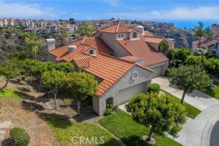 Townhouse, 43 Saint Raphael, Laguna Niguel, CA 92677 - 57