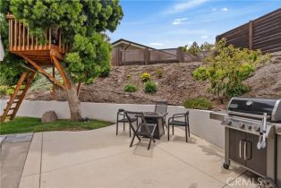 Single Family Residence, 25282 Sea Rose ct, Dana Point, CA 92629 - 35