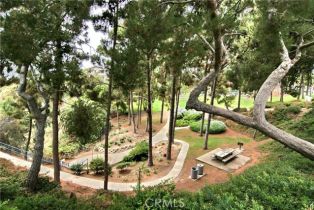 Single Family Residence, 25282 Sea Rose ct, Dana Point, CA 92629 - 58