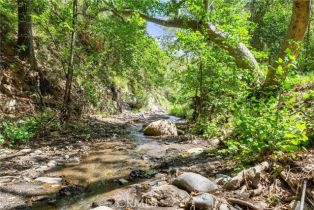 Single Family Residence, 25 Hot Spring Canyon rd, San Juan Capistrano, CA 92675 - 38