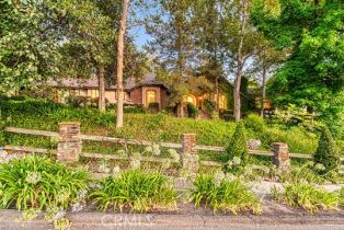 Single Family Residence, 31742 Contijo way, Coto De Caza, CA 92679 - 47