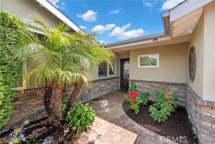 Single Family Residence, 33692 Big Sur st, Dana Point, CA 92629 - 10