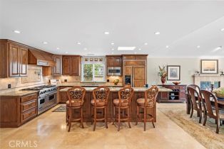 Single Family Residence, 33692 Big Sur st, Dana Point, CA 92629 - 13