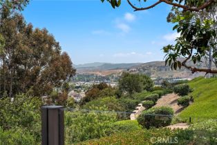 Single Family Residence, 33692 Big Sur st, Dana Point, CA 92629 - 23