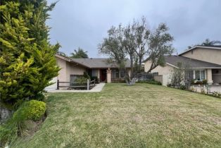 Single Family Residence, 33102 Elisa dr, Dana Point, CA 92629 - 2