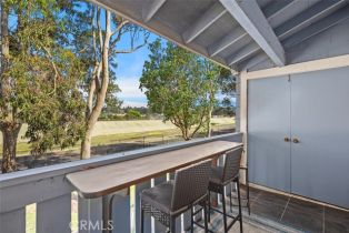 Condominium, 25611 Quail run, Dana Point, CA 92629 - 16